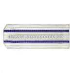 Погоны бел. 2 вас. пр.