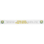 Подворотничок ДМБ РХБЗ
