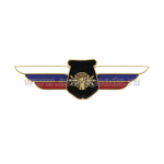 Значок мет. Должностной знак начальника ведущего научно-исследовательскую деятельность (РЭБ) (№103)