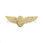 Нагр. зн. пласт. РЖД (техзнак)