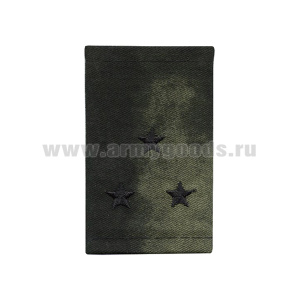 Ф/пог. Росгвардия СОБР (расцв. "Мох-3" (A-TACS FG)) вышит. черн. (ст. лейтенант)
