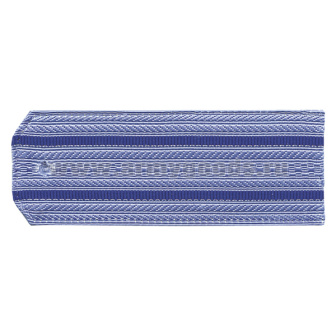 Погоны голуб. 2 вас. пр. (ФСБ нов/обр руб.) на пластике