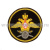 Шеврон вышит. Военные представительства МО (210 пр.) черный (люрекс)