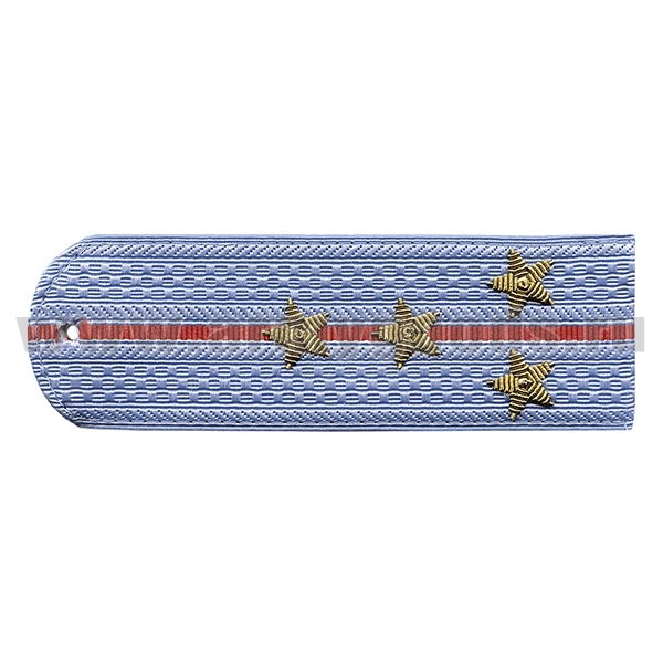 Погоны Полиция нов/обр без канта серо-голуб. вышит. канителью (капитан)