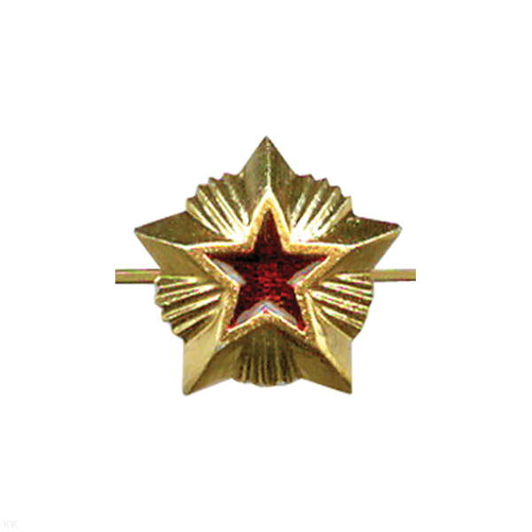 Звезда на погоны мет. 20 мм Таможня (зол. с красной эмалью)