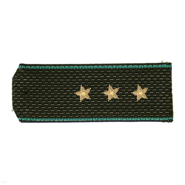 Погоны ПС ст/обр оливк. с зел. кантом, вышит. канителью  (ст. прапорщик)