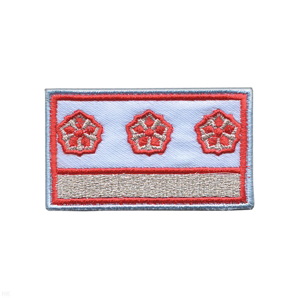 Нагрудный знак вышит. РЖД (голубой) 1 галун 3 звезды