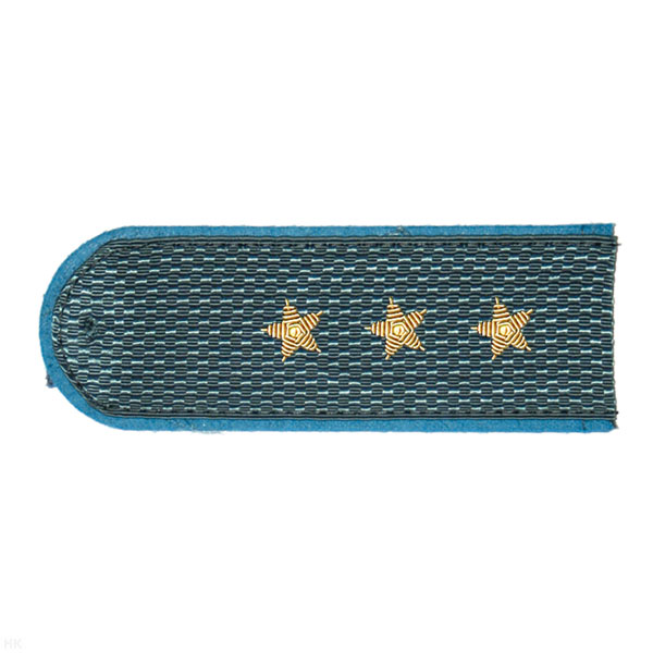 Погоны ФССП серые с голуб. кантом, вышит. канителью (ст. прапорщик)