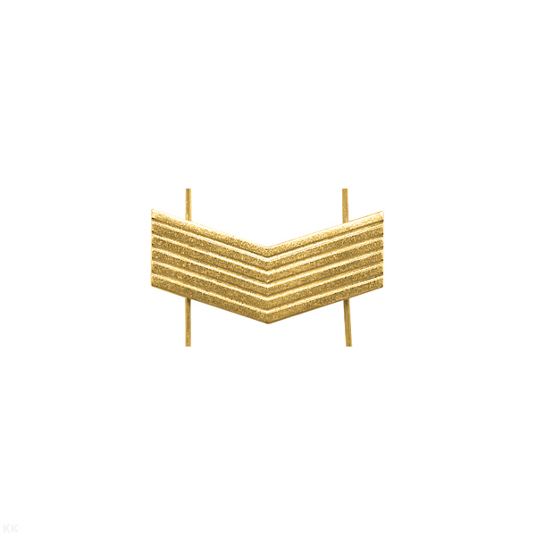Лычка мет. ВОХР