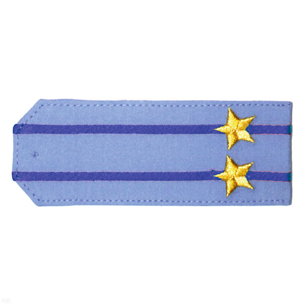 Погоны «машинная вышивка» из рубаш. ткани серо-голуб. с 2 вышит. вас. просв. с вышит. звездами (подполковник)