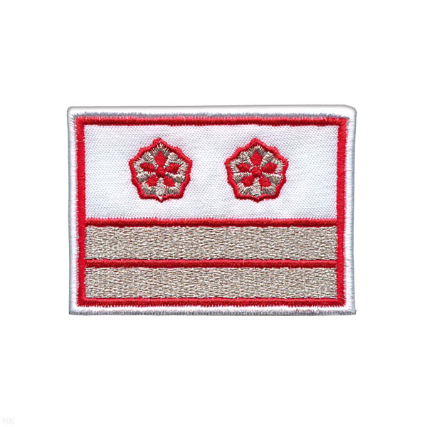 Нагрудный знак вышит. РЖД (белый) 2 галуна 2 звезды