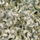 05210019_2 05210019_2