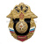 Значок мет. МЧС (серия Россия)