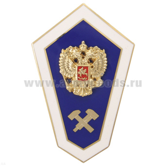 Значок мет. "Гробик" Среднее техническое образование (с накладкой) в коробочке, гор. эм. (на заколке)