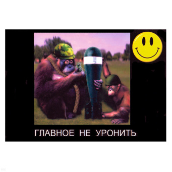 00000038244