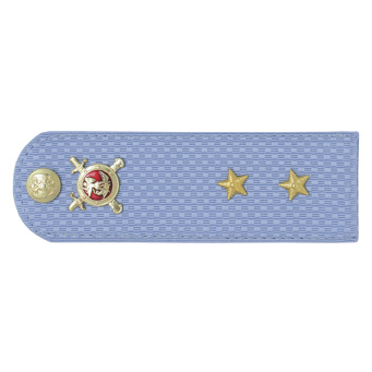 Погоны Полиции (ОВД) на голубую рубашку (без канта), укомпл. мет. фурнитурой (прапорщик) пластик